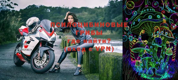 молекула духа Волоколамск